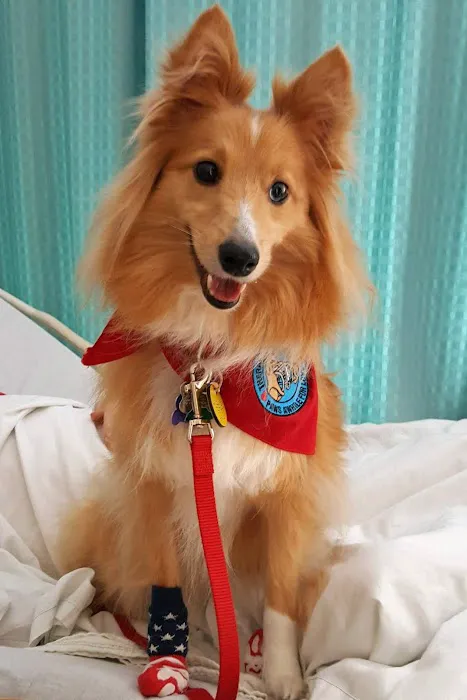 Hudson Veterinary Care Picture 6