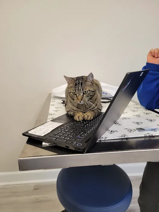 Hudson Veterinary Care Picture 7