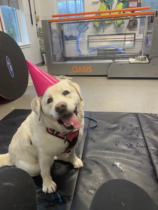 NH Pet Physical Rehabilitation Center Picture 3