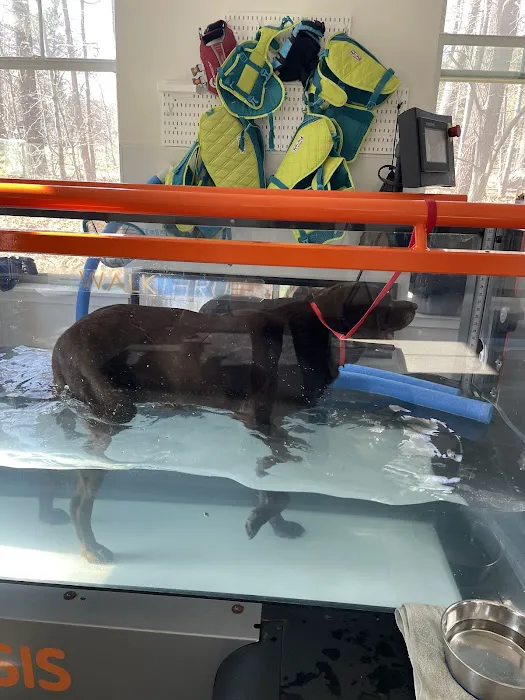 NH Pet Physical Rehabilitation Center Picture 5