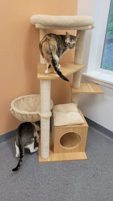 Lowell Road Veterinary Center Picture 5