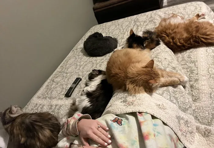 Crossroads Animal Hospital Picture 1