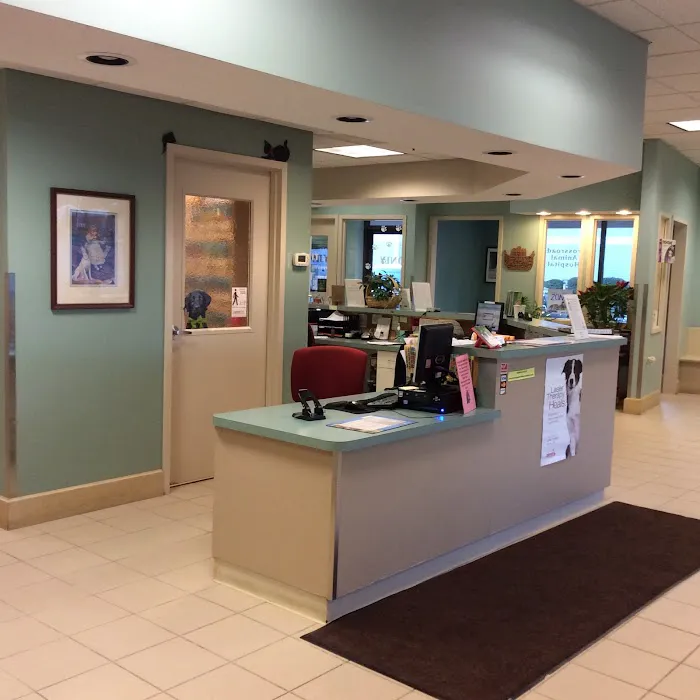 Crossroads Animal Hospital Picture 6