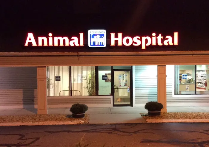 Crossroads Animal Hospital Picture 5