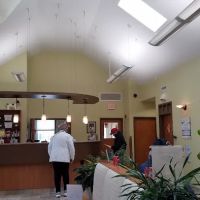 Chelmsford Animal Hospital ico