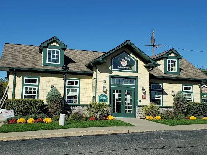 Chelmsford Animal Hospital Picture 5