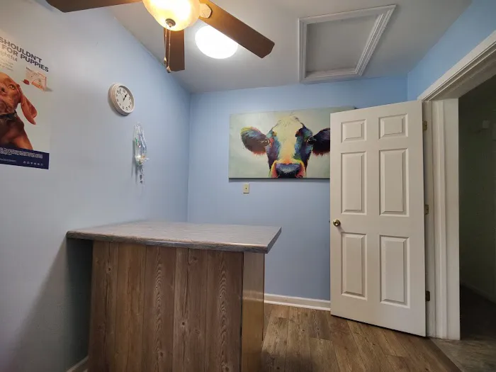 Pocahontas Veterinary Services PLLC Picture 4