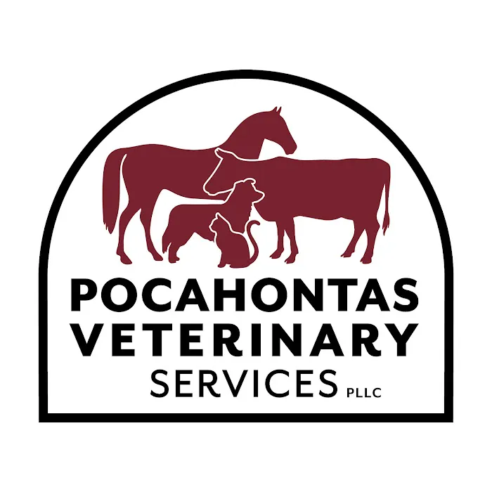 Pocahontas Veterinary Services PLLC Picture 8