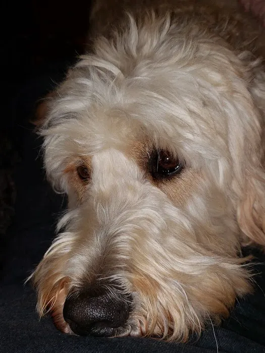 Franklin County Animal Hospital Picture 1