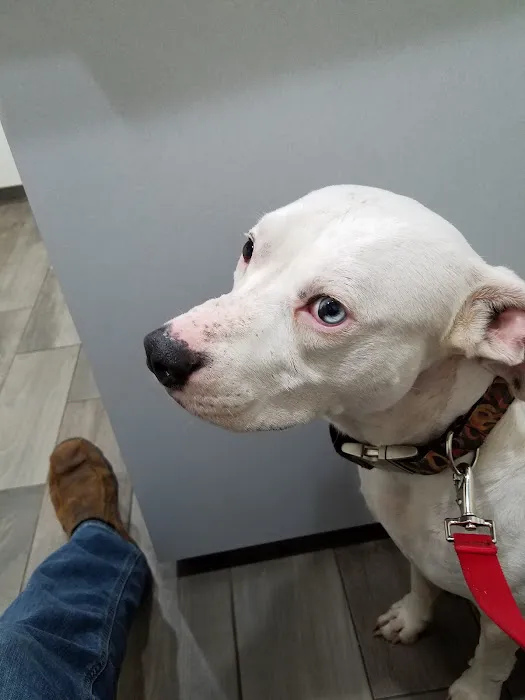 Franklin County Animal Hospital Picture 3