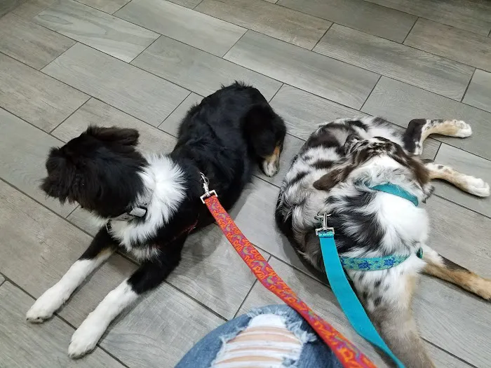 Franklin County Animal Hospital Picture 8