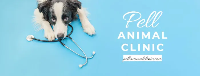 Pell Animal Clinic, Inc. / Farm Veterinary Services, Inc. Picture 10