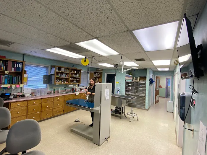 Pet Health Clinic Picture 7