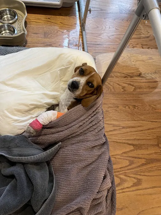 Pet Health Clinic Picture 9