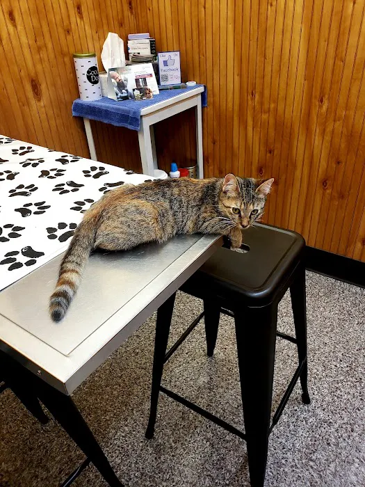 Harris Animal Hospital Picture 1