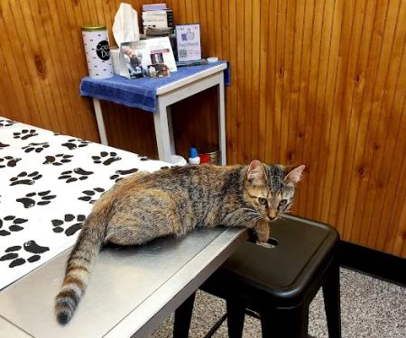 Harris Animal Hospital