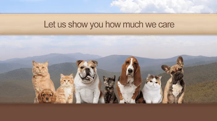 Harris Animal Hospital Picture 10