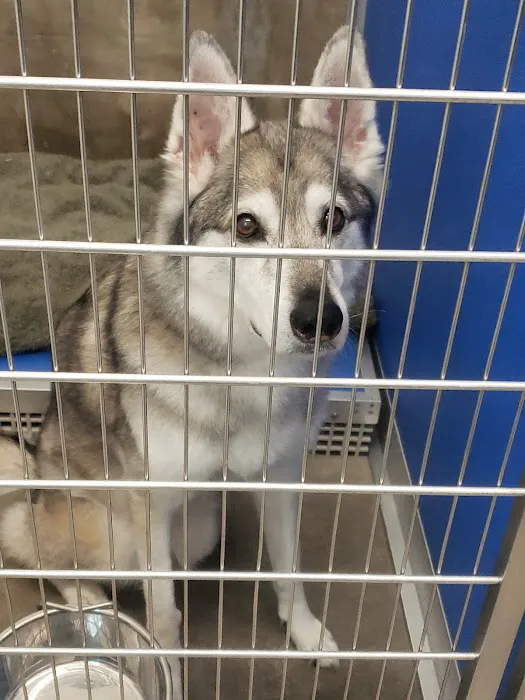 Harris Animal Hospital Picture 7