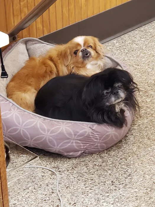 Harris Animal Hospital Picture 6