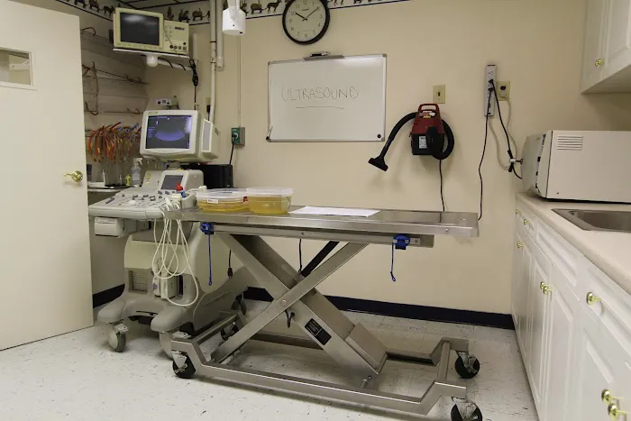 VCA Valley Animal Hospital Picture 4