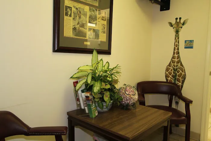 VCA Valley Animal Hospital Picture 7