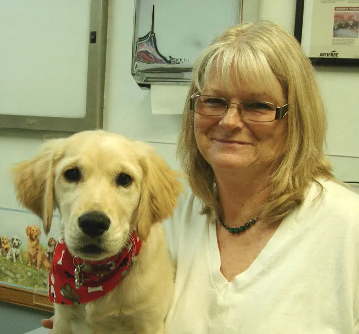 VCA Valley Animal Hospital Picture 10