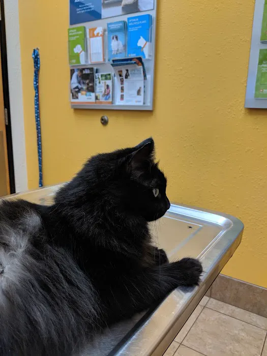 Banfield Pet Hospital Picture 8
