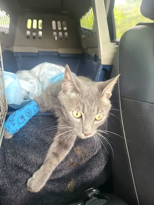Emergency Veterinary & Specialty Services of Roanoke Inc Picture 7