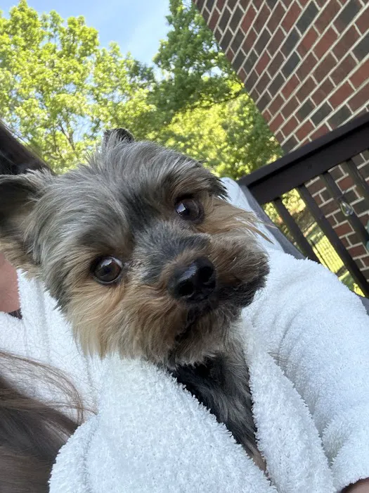 Emergency Veterinary & Specialty Services of Roanoke Inc Picture 4