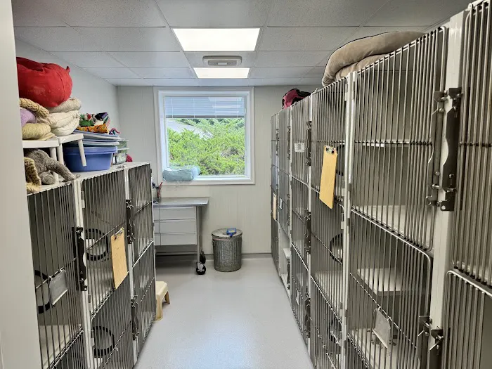 Pet Clinic of Rocky Mount Picture 2