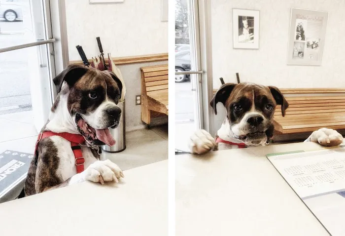 Roanoke Animal Hospital Picture 5