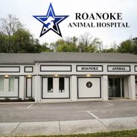 Roanoke Animal Hospital ico