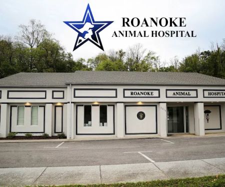 Roanoke Animal Hospital