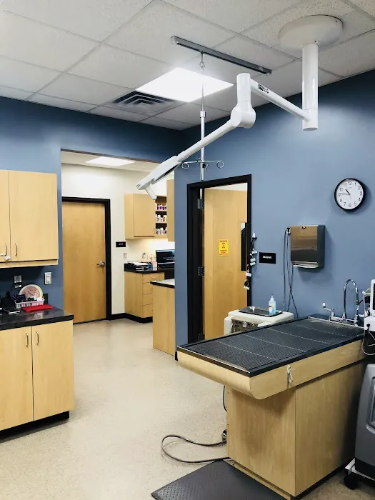Veterinary Wellness Center of Roanoke Picture 9