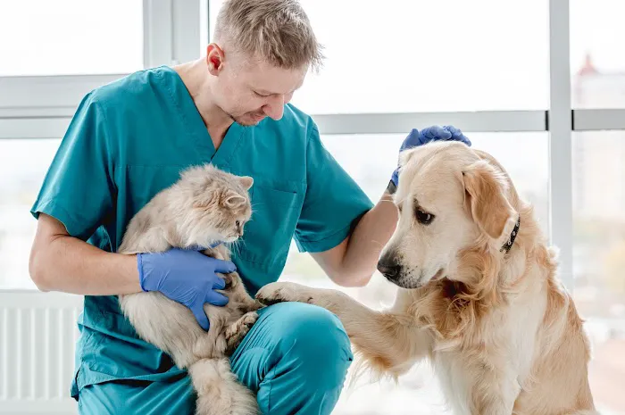 Southern Hills Animal Hospital Picture 2