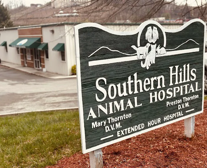 Southern Hills Animal Hospital Picture 6