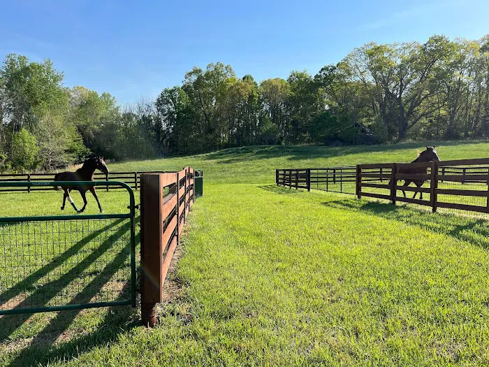 Creek and Meadow Veterinary Hospital Picture 2