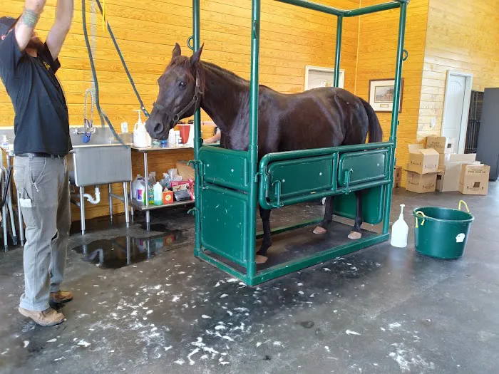 Creek and Meadow Veterinary Hospital Picture 3