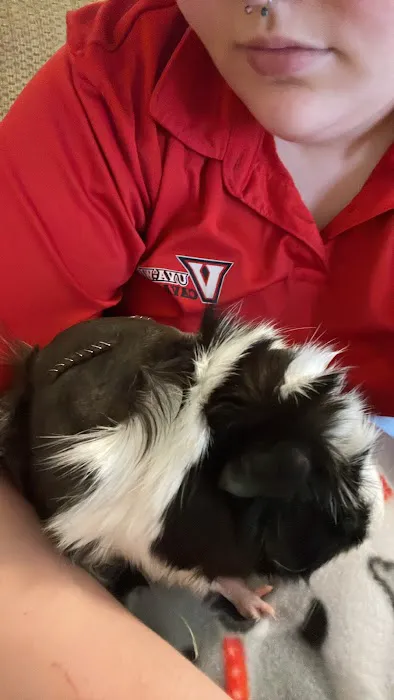 Avian and Exotic Pet Clinic of Roanoke Picture 9