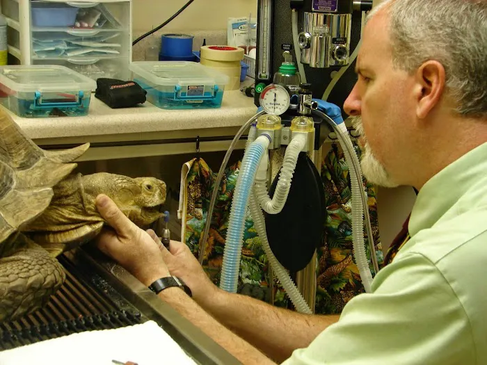 Avian and Exotic Pet Clinic of Roanoke Picture 10