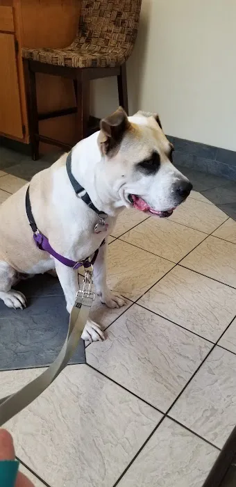 Brambleton Veterinary Hospital Picture 10