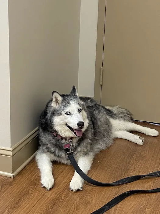 Cave Spring Veterinary Clinic Picture 9