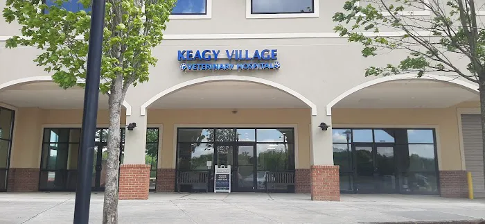 Keagy Village Veterinary Hospital Picture 2