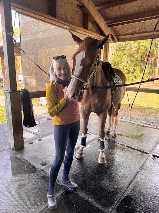 Blue Ridge Equine Clinic Picture 6
