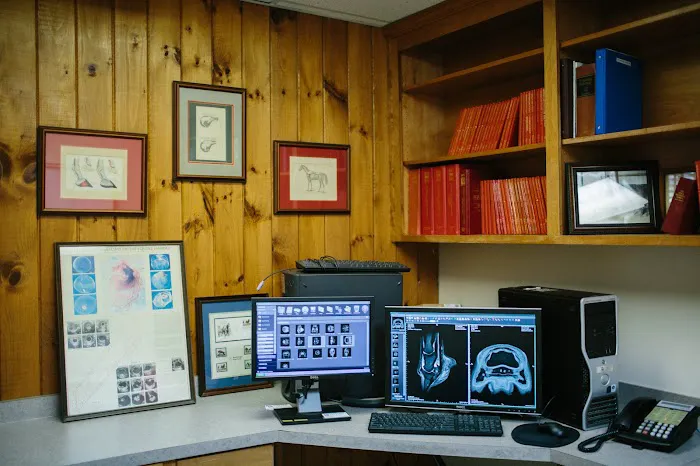 Blue Ridge Equine Clinic Picture 7