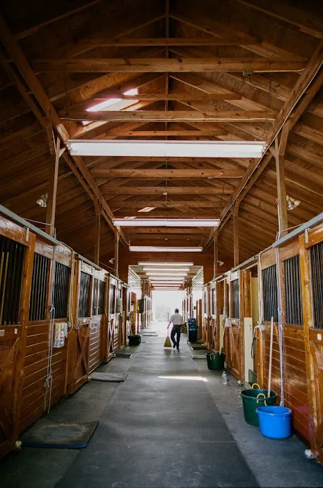 Blue Ridge Equine Clinic Picture 10