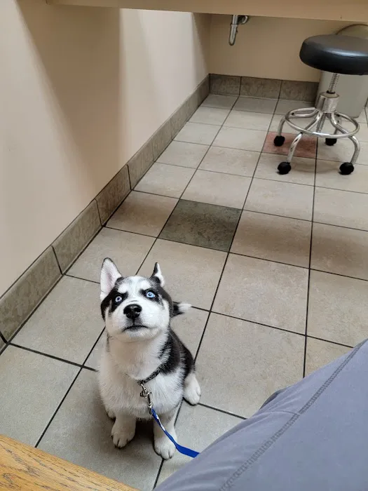 Town & Country Veterinary Hospital: Arendas C A DVM Picture 7