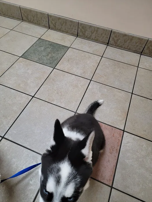 Town & Country Veterinary Hospital: Arendas C A DVM Picture 8