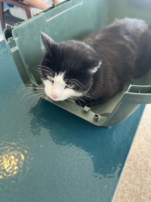 Howland Community Animal Hospital Picture 4