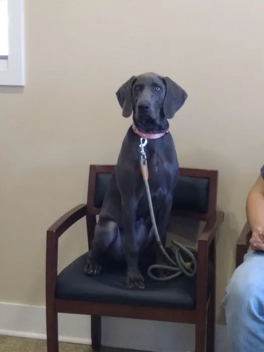 Howland Community Animal Hospital Picture 9